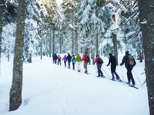 Snowshoeing Tours for All Levels