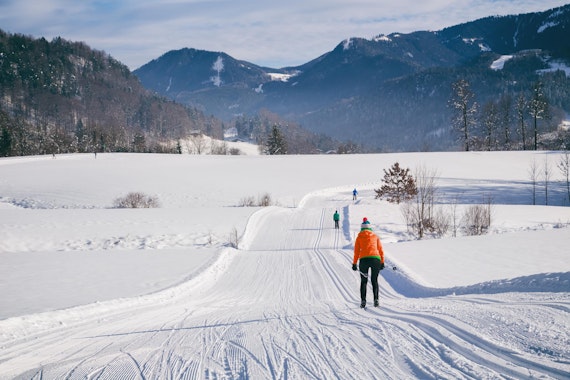 Kreischberg - Private Cross Country Skiing Lessons for All Levels