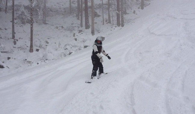Berwang - Private Snowboarding Lessons for Kids & Adults of All Levels