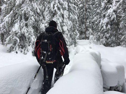 Flims / Laax - Snowshoe tours