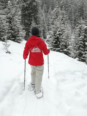 Snowshoe Tours (from 8 y.)