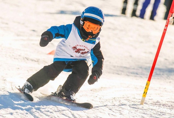Garmisch-Partenkirchen - Private Ski Lessons for Kids of All Levels