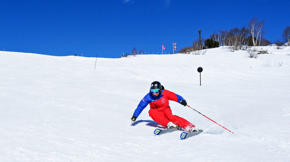 Private Ski Lessons for Adults for All Levels.