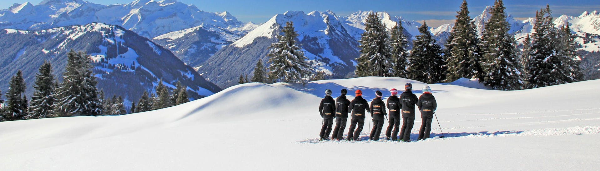 Private Ski Lessons for Adults of All Levels - Afternoon with Private Snowsports Team Gstaad - Hero image