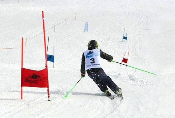 Private Ski Race Training 