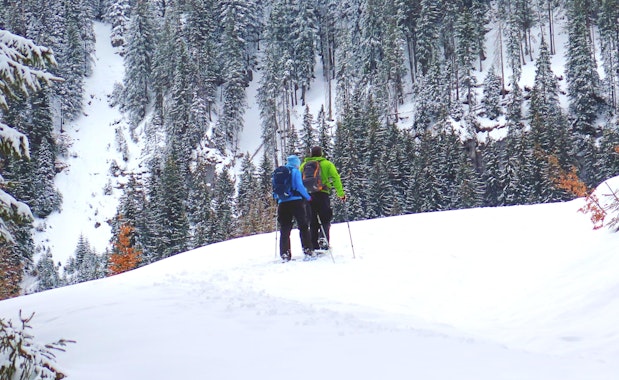 Private Snowshoeing Tours