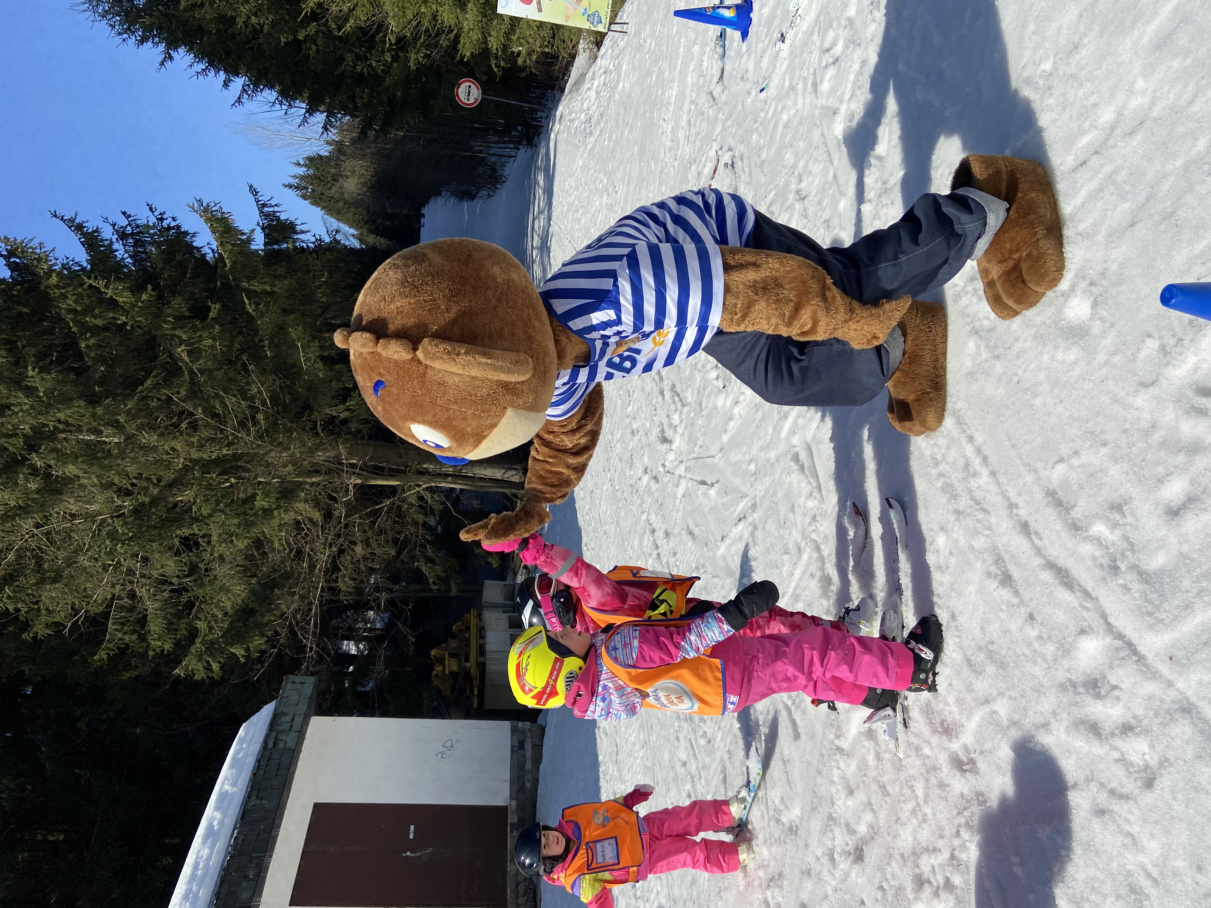 Skilessen voor kinderen vanaf 4 jaar voor alle niveaus.