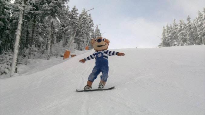 Harrachov - Snowboard Lessons