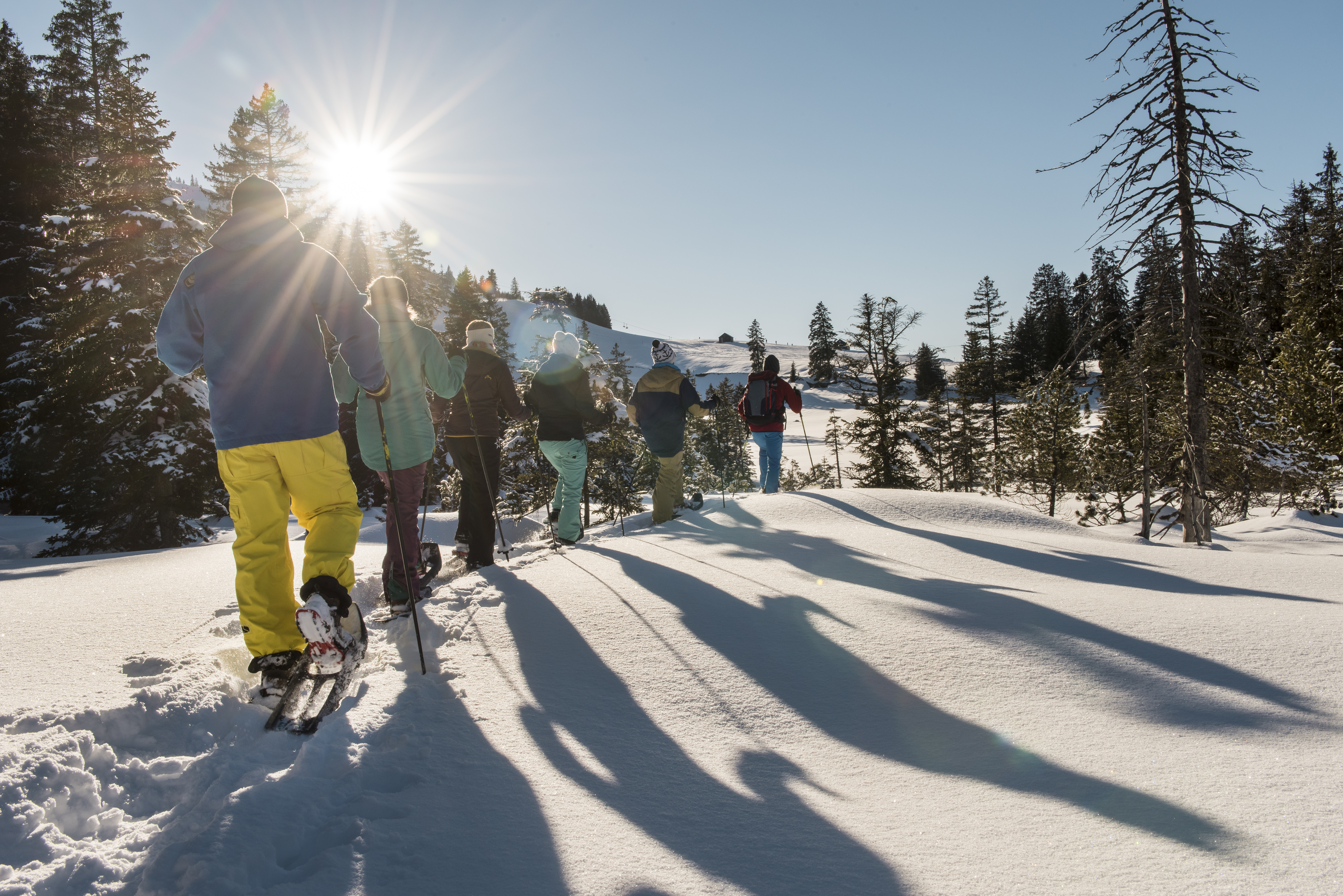Sneeuwschoentocht voor alle niveaus.