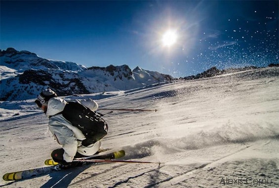 Passo San Pellegrino-Falcade - Skiguiding tour - Full Day