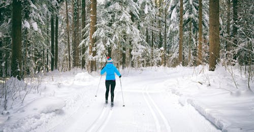 Clases de esquí de fondo privadas para todos los niveles con Kristall Schischule Arberland Clases de esquí de fondo privadas para todos los niveles con Kristall Schischule Arberland.