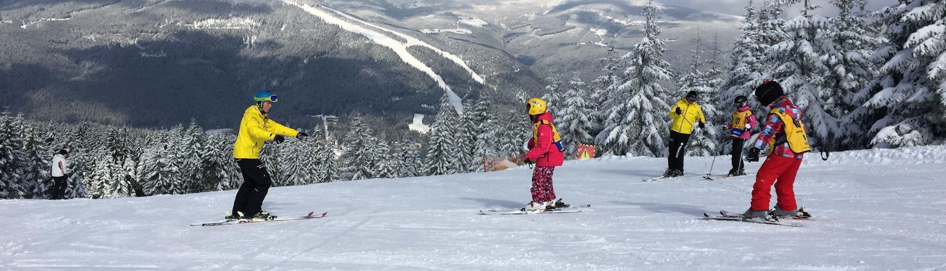 Private Ski Lessons for Kids & Teens of All Ages.