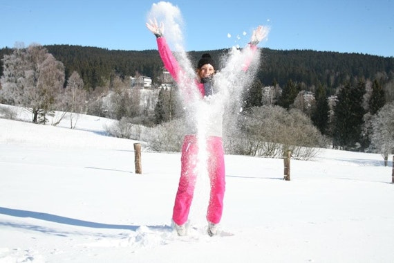 Zelezna Ruda - Spicak - Adult Ski Lessons - Group for 3-5 pers.