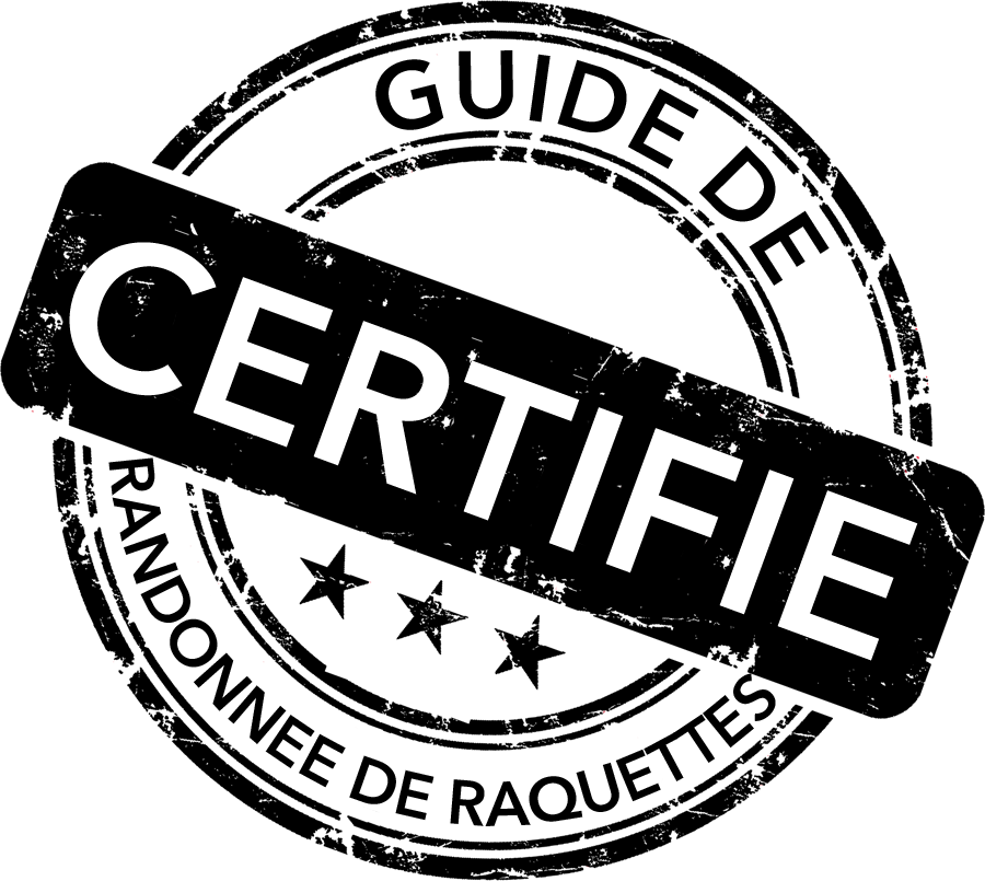 Guide de randonnée de raquettes (Suisse)