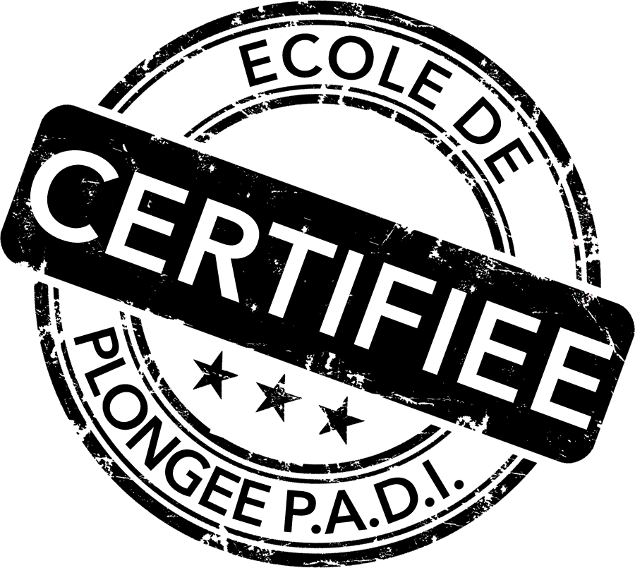 Ecole de plongée P.A.D.I. certifiée